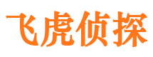 海州市侦探调查公司